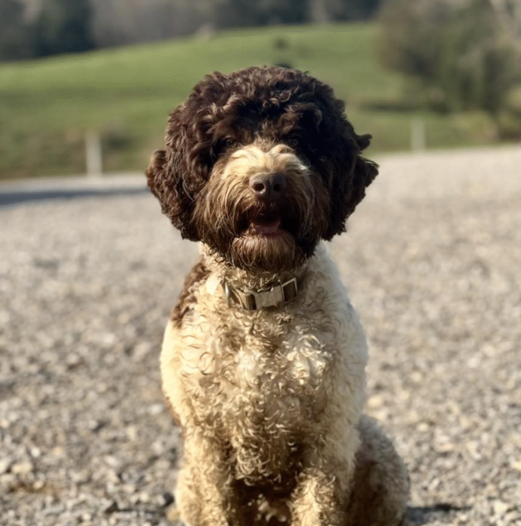 Muddy Maggie 2025 CRL