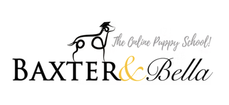 Screenshot 2025-09-17 at 11.39.23 PM