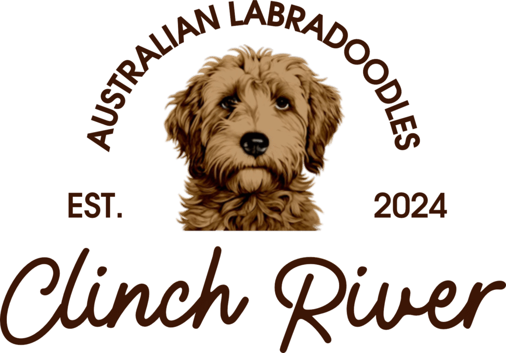 logo of clinch river australian labradoodles