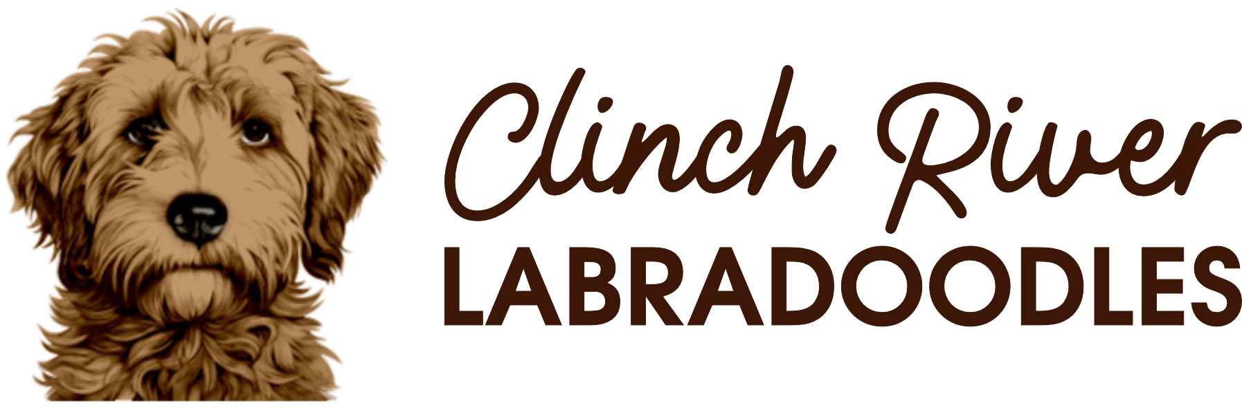 Clinch River Labradoodles